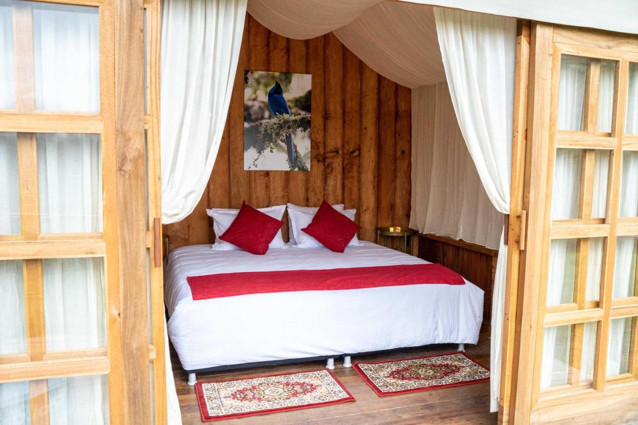 Birdglamping Los Arboles Glamping Hotel Salento Exterior foto